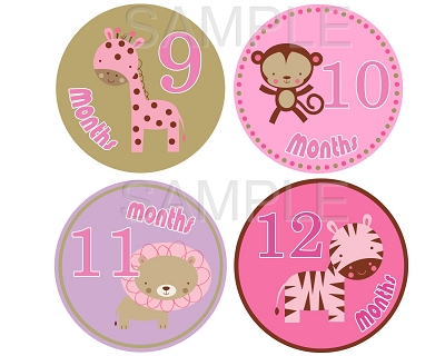 Rachel - Girl Safari Monthly Photo Stickers