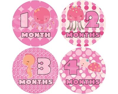 Rita - Pink Sea Monthly Photo Stickers