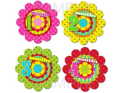 Rosalyn - Lovely Colorful Flowers Monthly Photo Stickers