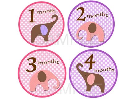 Ruby - Adorable Baby Girl Elephants Monthly Photo Stickers