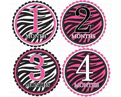 Sabrina - Beautiful Hot Pink Zebra Patterns Monthly Photo Stickers