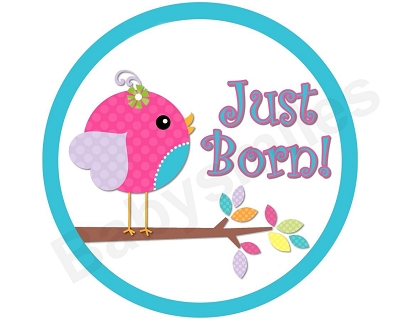Sasha - Sweet Lil Baby Birds Monthly Photo Stickers