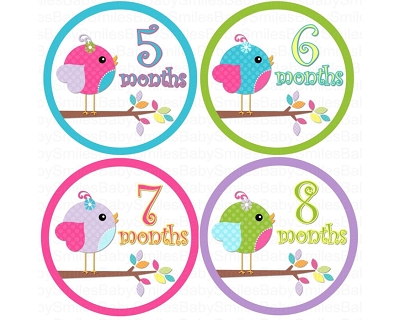Sasha - Sweet Lil Baby Birds Monthly Photo Stickers