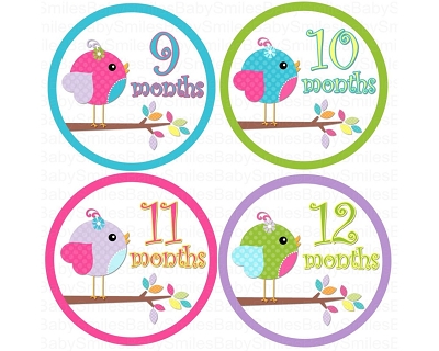 Sasha - Sweet Lil Baby Birds Monthly Photo Stickers