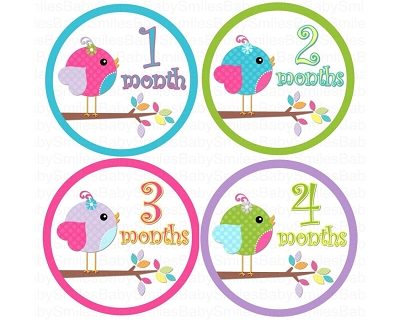 Sasha - Sweet Lil Baby Birds Monthly Photo Stickers