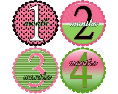 Scarlet - Sweet Watermelon Monthly Photo Stickers