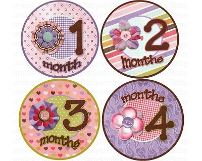 Serenity - Cute Pink and Purple Flowers with Buttons Monthly Photo Stickers