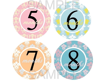 Sienna - Colorful Girly Damask Monthly Photo Stickers