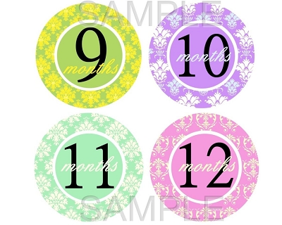 Sienna - Colorful Girly Damask Monthly Photo Stickers