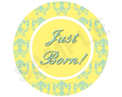 Sienna - Colorful Girly Damask Monthly Photo Stickers