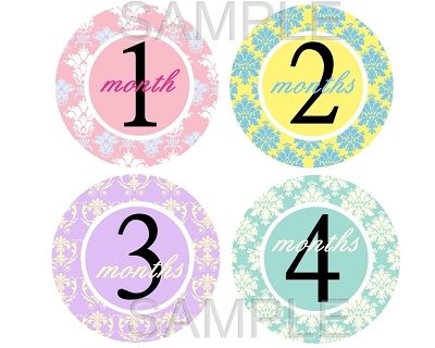 Sienna - Colorful Girly Damask Monthly Photo Stickers