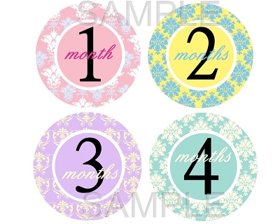 Sienna - Colorful Girly Damask Monthly Photo Stickers