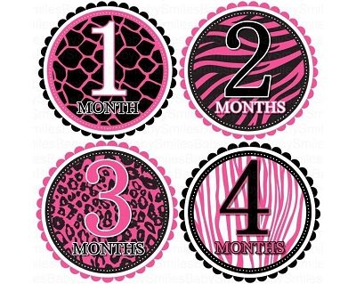 Stella - Hot Pink Animal Prints Monthly Photo Stickers