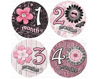 Summer - Fancy Flowers Monthly Photo Stickers