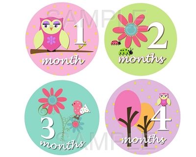 Sydney - Sweet Owl Birds & Nature Monthly Photo Stickers