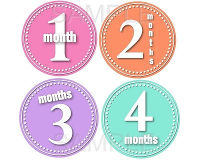 Tiffany - Beautiful Girly Colors Monthly Photo Stickers