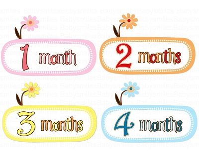 Vanessa - Beautiful Flowers in Sweet Colors Monthly Photo Stickers