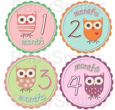 Victoria - Super Sweet Owl Girls Monthly Photo Stickers