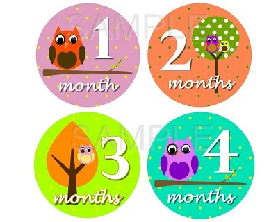 Violet - Cutest Owl Girl Monthly Photo Stickers