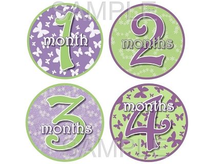 Vivienne - Beautiful Butterflies and Nature Monthly Photo Stickers