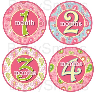 Zoe - Beautiful Paisley Monthly Photo Stickers