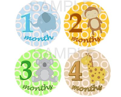 Adrian - Baby Safari Monthly Photo Stickers