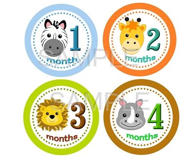 Alex - Adorable Baby Boy Animal Safari Monthly Photo Stickers