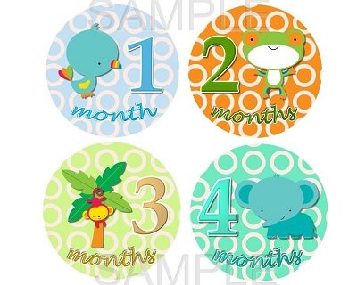 Ashton - Lil Rainforest Friends Monthly Photo Stickers