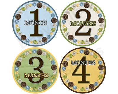 Blake - Cute As A Button Monthly Photo Stickers