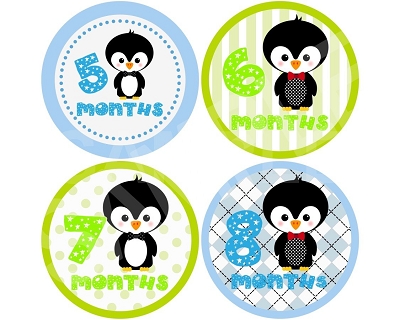 Brendan - Cutie Penguin Boy Monthly Photo Stickers