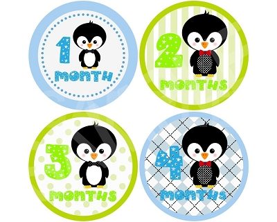 Brendan - Cutie Penguin Boy Monthly Photo Stickers