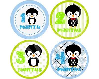 Brendan - Cutie Penguin Boy Monthly Photo Stickers