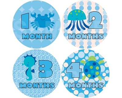 Brett - Deep Blue Sea Monthly Photo Stickers