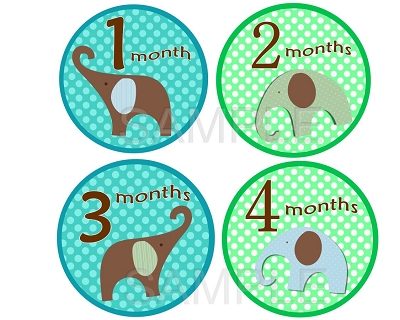 Cameron - Adorable Baby Boy Elephants Monthly Photo Stickers