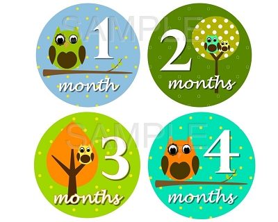 Carter - Cutest Owl Boy Monthly Photo Stickers
