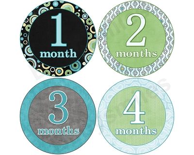 Conner - Nice Blue, Green & Black Pattern Monthly Photo Stickers