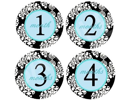 Daniel - Blue Damask Monthly Photo Stickers