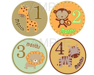 Darryl - Adorable Boy Safari Monthly Photo Stickers