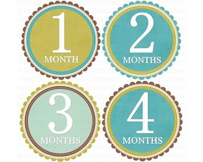 Dereck - Nice Blue, Green and Brown Design Monthly Photo Stickers