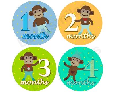 Drew - Sports Sock Monkey Monthly Photo Stickers