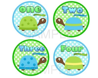 Dylan - Baby Boy Turtles Monthly Photo Stickers