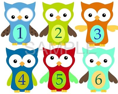 Evan - Adorable Owl Boys in Town Monthly Photo Stickers