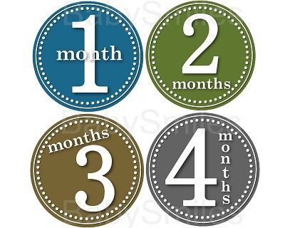 Jacky - Nice Cool Colors for Boys Monthly Photo Stickers