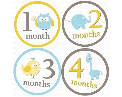 Landon - Cutest Baby Boy Animals Monthly Photo Stickers