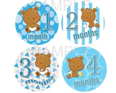 Marc - Cute Teddy Bear Baby Boy Monthly Photo Stickers