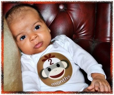 Nick - Sock Monkey Boy Monthly Photo Stickers