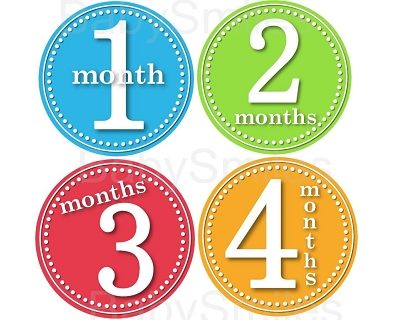 Parker - Happy Bright Colors Monthly Photo Stickers