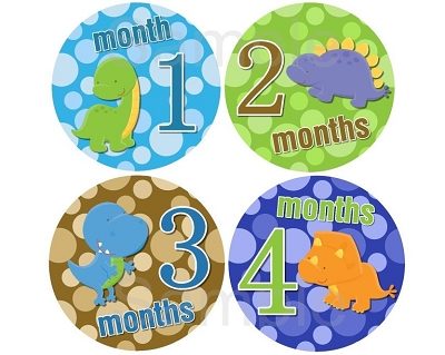 Rex - Cute Dinosaurs Monthly Photo Stickers