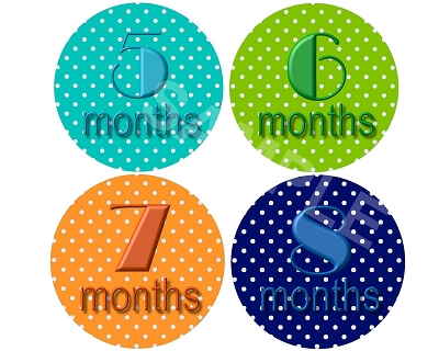 Robert - Happy Polkadots Monthly Photo Stickers