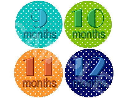 Robert - Happy Polkadots Monthly Photo Stickers